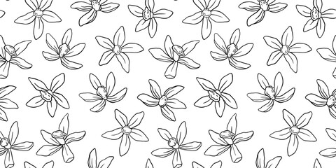 Seamless pattern with vanilla flowers. Monochrome repeat background