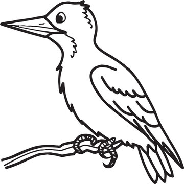 recommend clip art: Woodpecker coloring pages. Woodpecker bird outline. Bird line art for coloring book