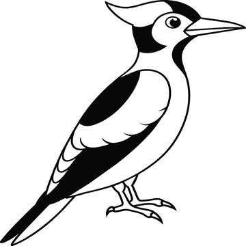 recommend clip art: Woodpecker coloring pages. Woodpecker bird outline. Bird line art for coloring book
