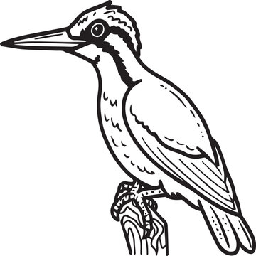 recommend clip art: Woodpecker coloring pages. Woodpecker bird outline. Bird line art for coloring book