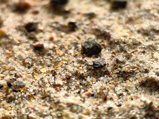 Sand