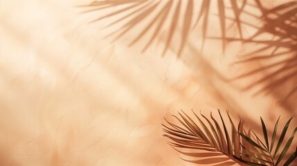Abstract background with palm shadows on light pastel peach color wall. Copy space.