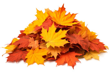 Whispers of Autumn: A Cascade of Multicolored Leaves. On a White or Clear Surface PNG Transparent Background.