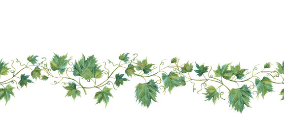 Seamless border of grapevine leaves. Banner of vine. Isolated watercolor illustrations for wine label design, grape juice, cosmetics, wedding cards, stationery, greetings card, menu, cafe, winery