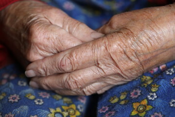 Fototapeta premium Hands of the elderly woman. Old woman hands in color