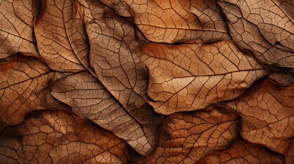 Fototapeta premium Yrellow leaves pattern background, Natural background and wallpaper