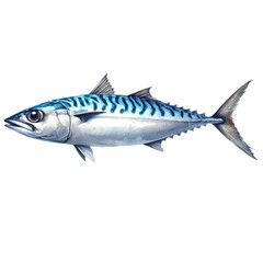 Watercolor Fishes Clipart, Fish Illustrations Graphics for Printable
