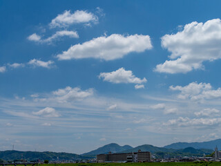 Fototapeta premium 大和川沿いの街並みと春の青空
