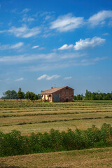 Obraz premium Country landscape near Fidenza, Emilia Romagna, Italy