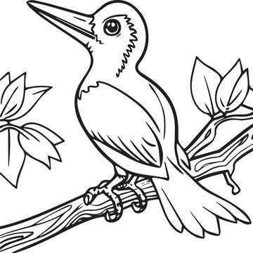 recommend clip art: Woodpecker coloring pages. Woodpecker bird outline. Bird line art for coloring book