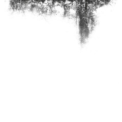 texture of damp and damaged walls