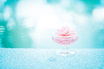 ガラスの器に浮かぶ幻想的なピンクの椿の花
