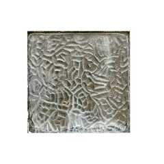 Vintage shabby weathered wooden window