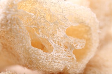 Natural loofah sponge as background, closeup view