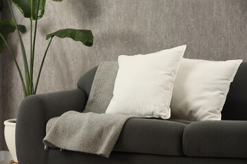 Soft white pillows and blanket on sofa indoors