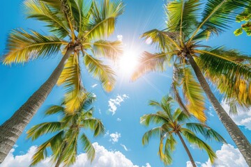 Obraz premium A sunny blue sky with palm trees, summer concept, Tropical Tree, tropical landscape.