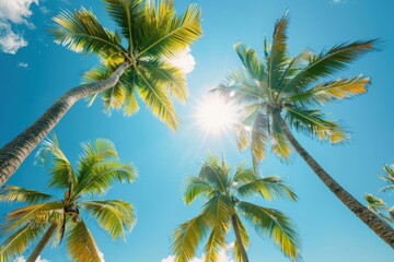 Naklejka premium A sunny blue sky with palm trees, summer concept, Tropical Tree, tropical landscape.
