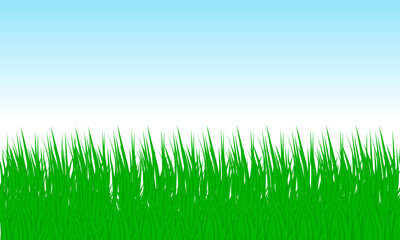 green grass on white background . the idea for picnic football field ,golf ,lawn	