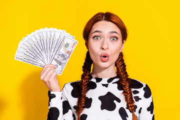 Photo of shocked funky lady dressed cowskin print top lips pouted holding cash fan isolated yellow...