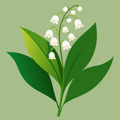 Vector illustration: close-up of a lily of the valley flower