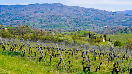 Naklejka premium Panorama primaverile delle colline della val d'orcia,Radda in Chianti,Siena,Toscana,Italia 