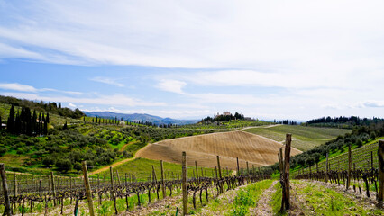Naklejka premium Panorama primaverile delle colline della val d'orcia,Radda in Chianti,Siena,Toscana,Italia 