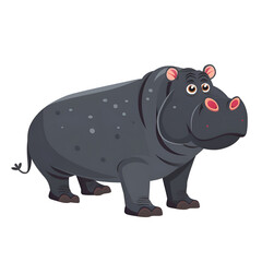 Hippo flat illustration transparent