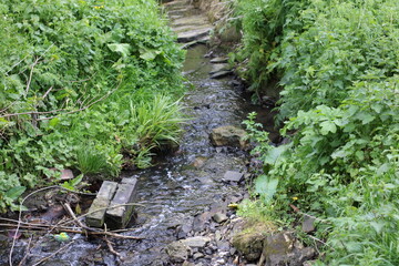 Beautiful brook in a quiet woodland