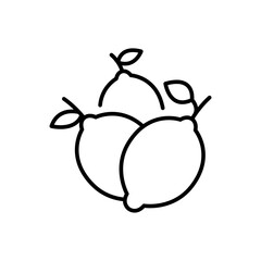 Lemon fruit outline icons, minimalist vector illustration ,simple transparent graphic element .Isolated on white background