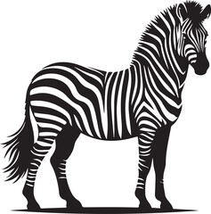 silhouette of zebra illustration