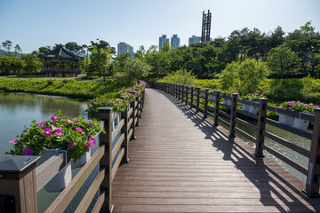 View of a lakeside bridge with morning glories in bloom in May