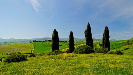 Panorama delle colline di Lajatico, terra natale di Andrea Bocelli presidente del Teatro del...