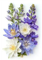 A variety of full bloomed flowers.  