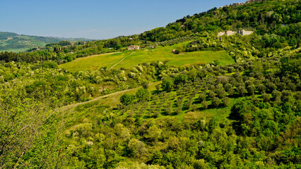 Fototapeta na wymiar Sacro Monte o Gerusalemme di San Vivaldo,provincia di Firenze,Toscana,Italia