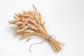 Wheat ears, golden harvest