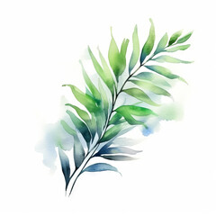 Watercolor painting of a single stem of eucalyptus leaves.