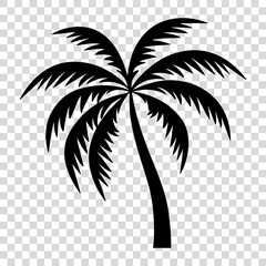 Palm tree icon isolated on transparent background
