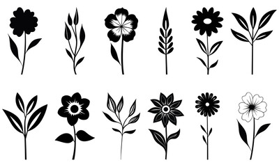 Set of different flowers and leaf. Vector illustration isolated on white background