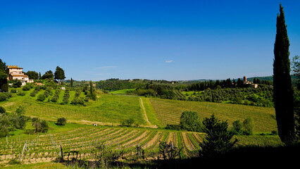 Naklejka premium Panorama delle colline e delle balze vicino al borgo medievale fortificato di Certaldo.Provincia di Firenze,Toscna,Italia