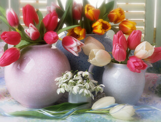 Spring still life of tulips in jugs and vases 