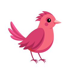 cute funny pink bird art drawn on white