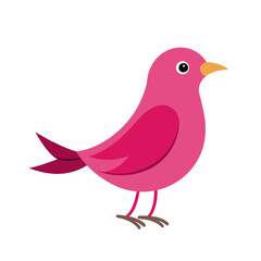 Obraz premium cute funny pink bird art drawn on white