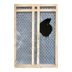 deteriorated windows