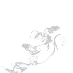 texture with smoke silhouette