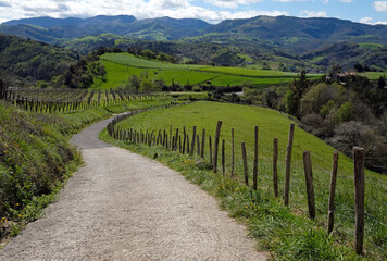 Empty footpath on the Camino del Norte in Northern Spain