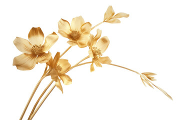 Yellow flowers isolated on white background. Flat lay, top view.