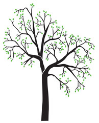black tree silhouette with green leaves isolated on white background.