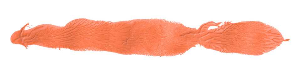 Shiny orange brush watercolor painting isolated on transparent background. watercolor png
