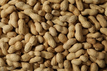 Many fresh unpeeled peanuts as background, top view