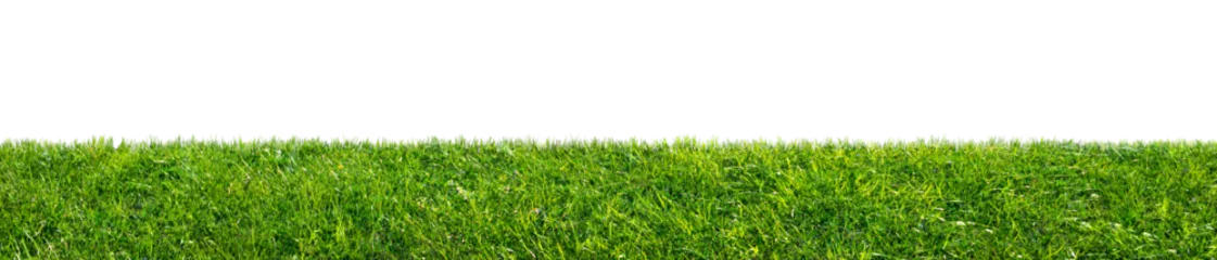green grass field isolated on transparent background, png